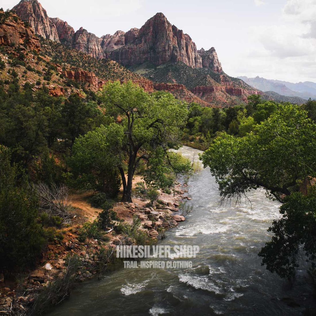 Zion National Park hiking landscape with river, lush trees, and towering red rock canyon under clear sky